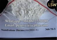 99% High Purity Raw Pharmaceutical Steroids Powder Nandrolone decanoate for  Bodybuilding CAS:360-70-3