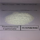 Testosterone Raw Muscle Building Steroids White Powder Testosterone Cypionate CAS 58-20-8