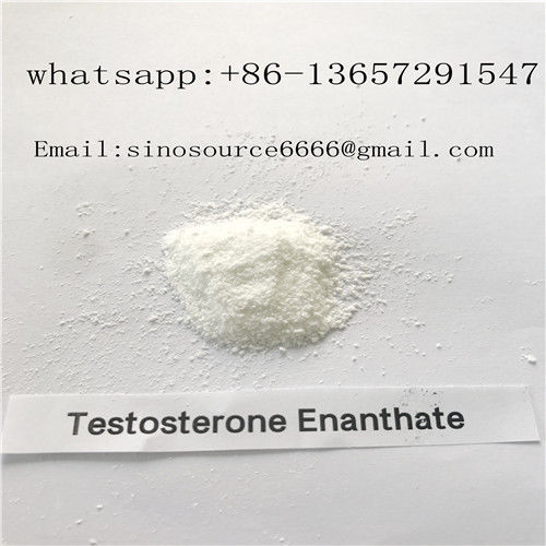 Test E Testosterone Anabolic Steroid , Testosterone Enanthate Powder CAS 315-37-7