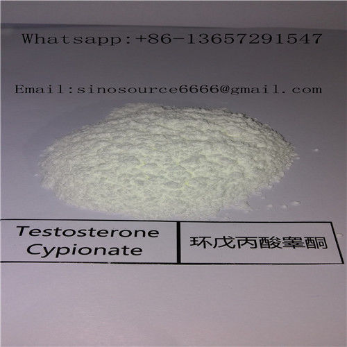 CAS 58-20-8 Muscle Gain Steroids Testosterone Cypionate / Test Cyp White Powder